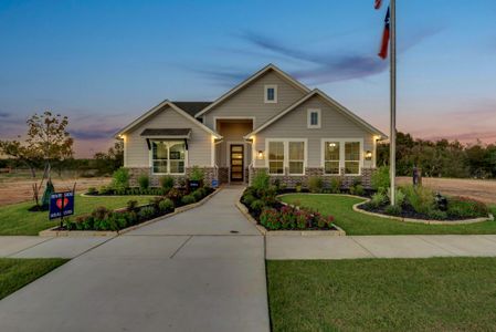 Covenant Park by Riverside Homebuilders in Springtown - photo 41 41