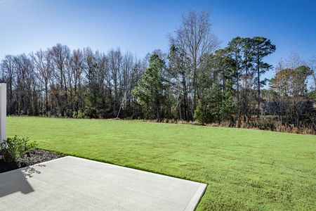 Harpers Glen Townhomes by Ryan Homes in Wendell - photo 37 37