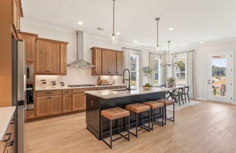 Linden Grove by Traton Homes in Powder Springs - image 8