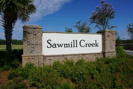 Sawmill Creek at Palm Coast Park by Adams Homes in Palm Coast - photo 1 1