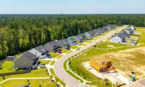 Parker's Preserve by Eastwood Homes in Ridgeville - image 12