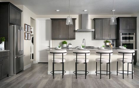 Harmony at Sterling Ranch 9