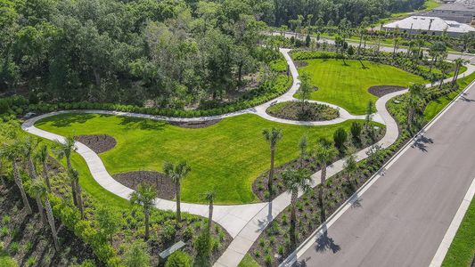 Esplanade at Azario Lakewood Ranch by Taylor Morrison in Lakewood Ranch - photo 33 33