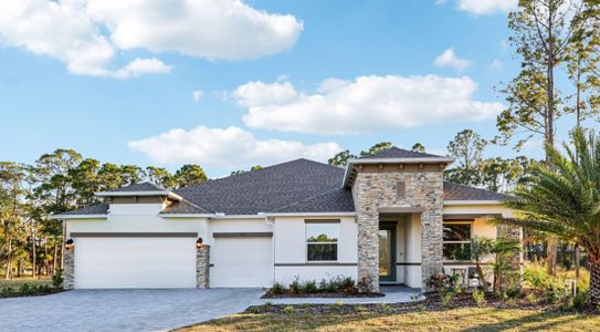 Mount Plymouth Greens by Maronda Homes in Mount Plymouth - image