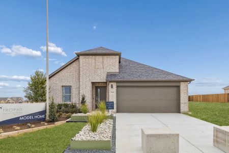 Lone Oak by Trophy Signature Homes in Alvarado - image