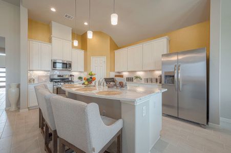 Sunterra by Colina Homes in Katy - photo 21 21