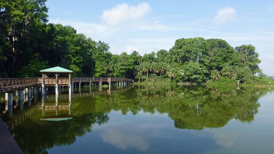 Timberwalk by D.R. Horton in Mount Dora - photo 12 12