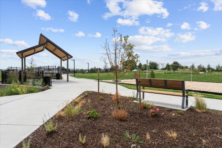 Floret Collection at Alder Creek by Century Communities in Parker - image 8