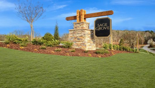Sage Grove by D.R. Horton in Lyman - image