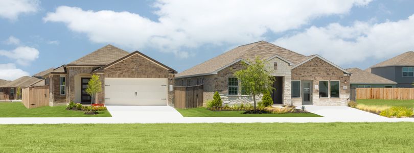 Cotton Brook: Highlands 1