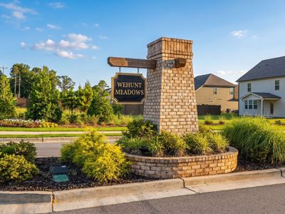 Wehunt Meadows by Davidson Homes LLC in Hoschton - image
