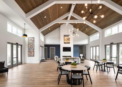 Encore at Chatham Park – Tradition Series by David Weekley Homes in Pittsboro - image 5