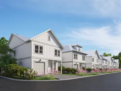 Nautilus Pointe by Brock Built in Inlet Beach - image 16