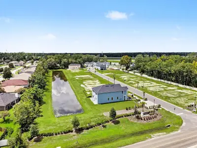 Baxley Villas by Drees Custom Homes in Middleburg - image
