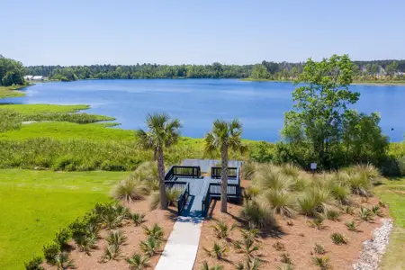 High Point at Foxbank by Dream Finders Homes in Moncks Corner - photo 6 6