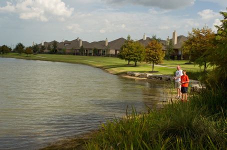 Towne Lake 70’ by Ravenna Homes in Cypress - photo 5 5