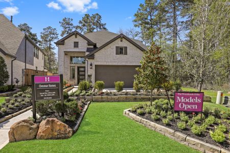 The Woodlands Hills by Chesmar Homes in Willis - photo 0