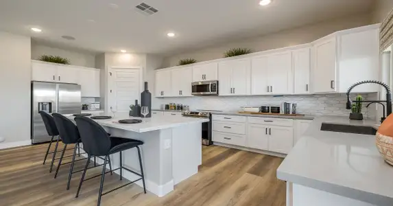 Eminence at Alamar by William Ryan Homes in Avondale - photo 62 62