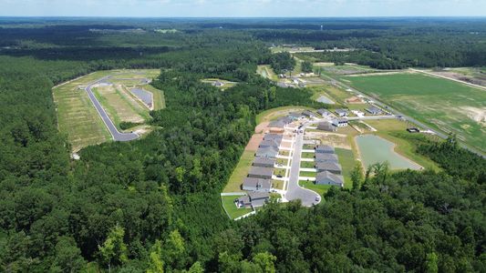 Pinewood Estates by D.R. Horton in Conway - image