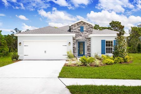 Hillwood Preserve by Ryan Homes in Bradenton - photo 4 4