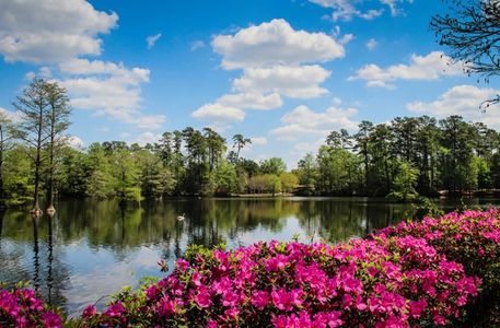 Wendermere by Veranda Homes in Sumter - image