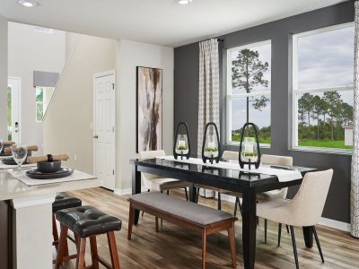 Lawson Dunes - Classic Series by Meritage Homes in Haines City - photo 9 9