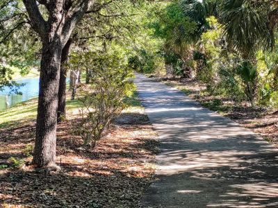 The Hammocks at Palm Harbor by Dream Finders Homes in Palm Coast - photo 2 2