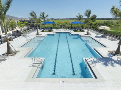 Vistera of Venice by Neal Communities in Nokomis - image 15