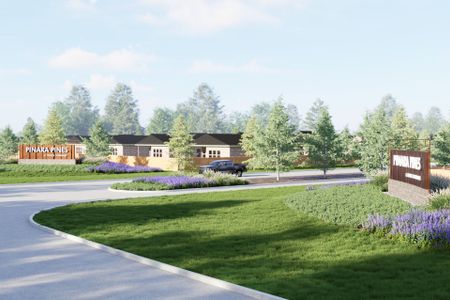 Pinara Pines by Centex in Conroe - image