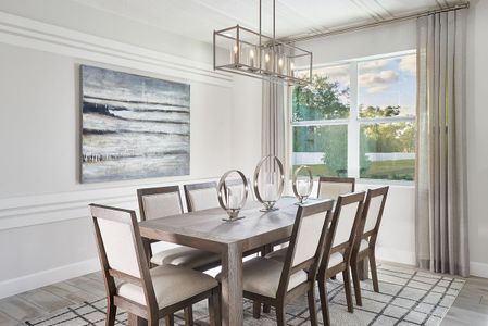 Marisol Pointe at MiraBay Florida Series by Park Square Residential in Apollo Beach - photo 14 14