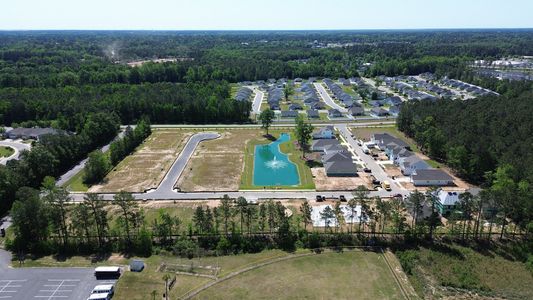 Chapman Village by D.R. Horton in Conway - image