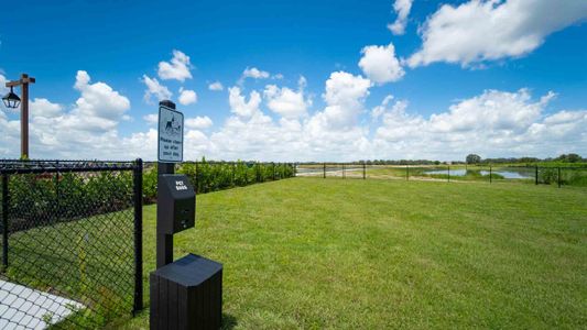 Farm at Varrea by D.R. Horton in Plant City - photo 16 16