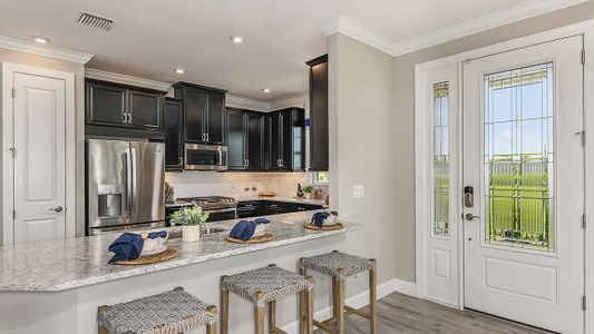 Esplanade at Wiregrass Ranch by Taylor Morrison in Wesley Chapel - photo 37 37