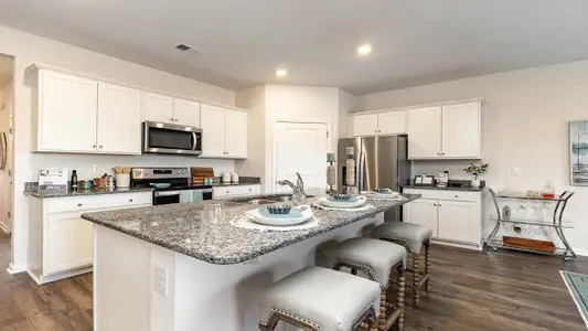 South Island landing by D.R. Horton in Georgetown - image 4