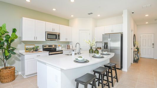 The Townhomes at Anthem Park by Taylor Morrison in St. Cloud - photo 40 40