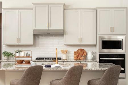 Stillwater Ranch 60' by Coventry Homes in San Antonio - image 9