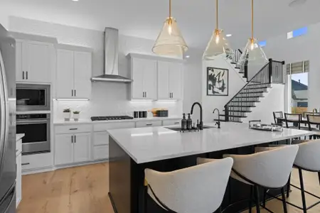 Blackhawk 60' by Coventry Homes in Pflugerville - image 8