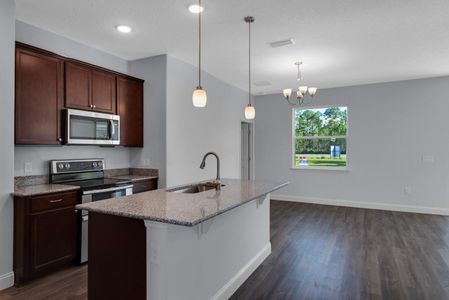 Sawmill Creek at Palm Coast Park by Holiday Builders in Palm Coast - photo 7 7