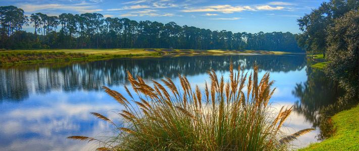 Plantation Bay by ICI Homes in Ormond Beach - photo 7 7