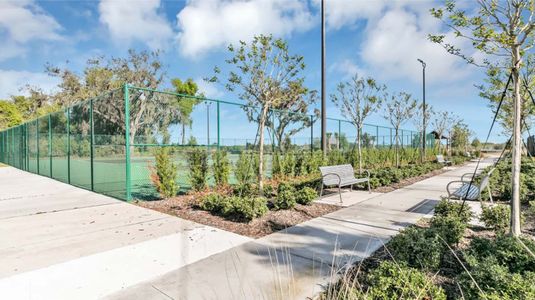 Tohoqua: Estates Collection 57