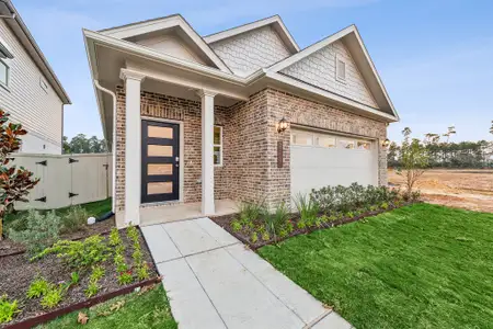 Audubon 40's by Smith Douglas Homes in Magnolia - image