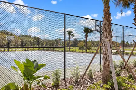 Waterset Cottage Series by David Weekley Homes in Apollo Beach - photo 77 77