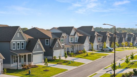 Hamptons at Riverwood East by D.R. Horton in Dallas - image