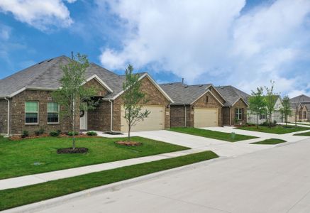 Lilybrooke at Legacy Hills by M/I Homes in Celina - photo 5 5