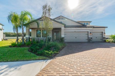 Oakstead Estates by M/I Homes in Land O' Lakes - photo 12 12