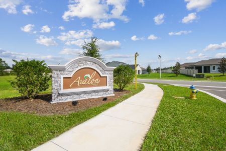 Avalon West by M/I Homes in Spring Hill - photo 5 5