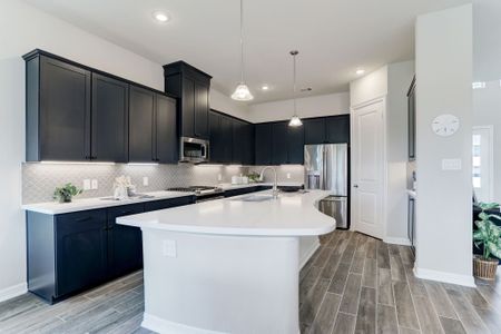 Peacock Isle by Bayway Homes in Dickinson - photo 81 81