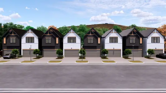 Cebra Oaks by ONYX Residential Group in Houston - image 3