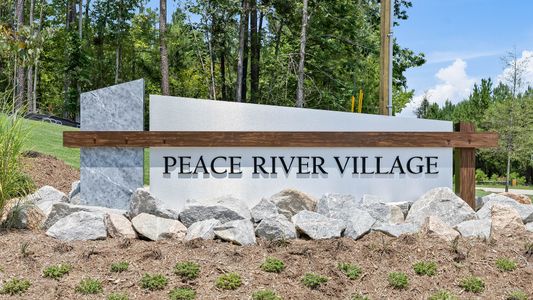 Peace River Village Single Family by DRB Homes in Raleigh - photo 0 0