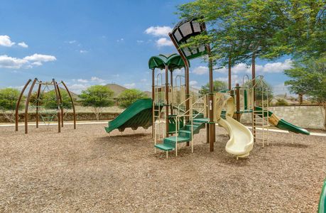 Community Playground